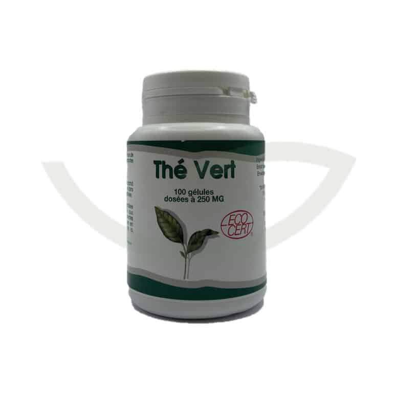 Thé vert 100 gélules 250mg GPH Diffusion Minceur Maroc Avant