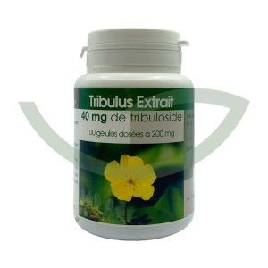 Tribulus 100 gélules 200mg GPH Diffusion fortifiant Maroc