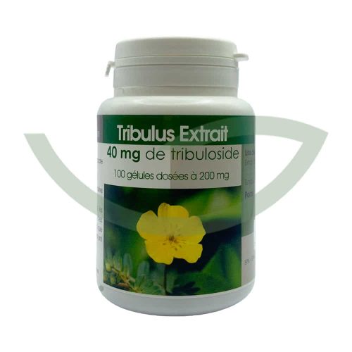 Tribulus 100 gélules 200mg GPH Diffusion fortifiant Maroc