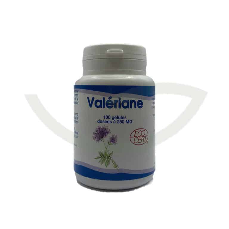 Valériane 100 gélules 250mg GPH Diffusion sommeil réparateur Maroc