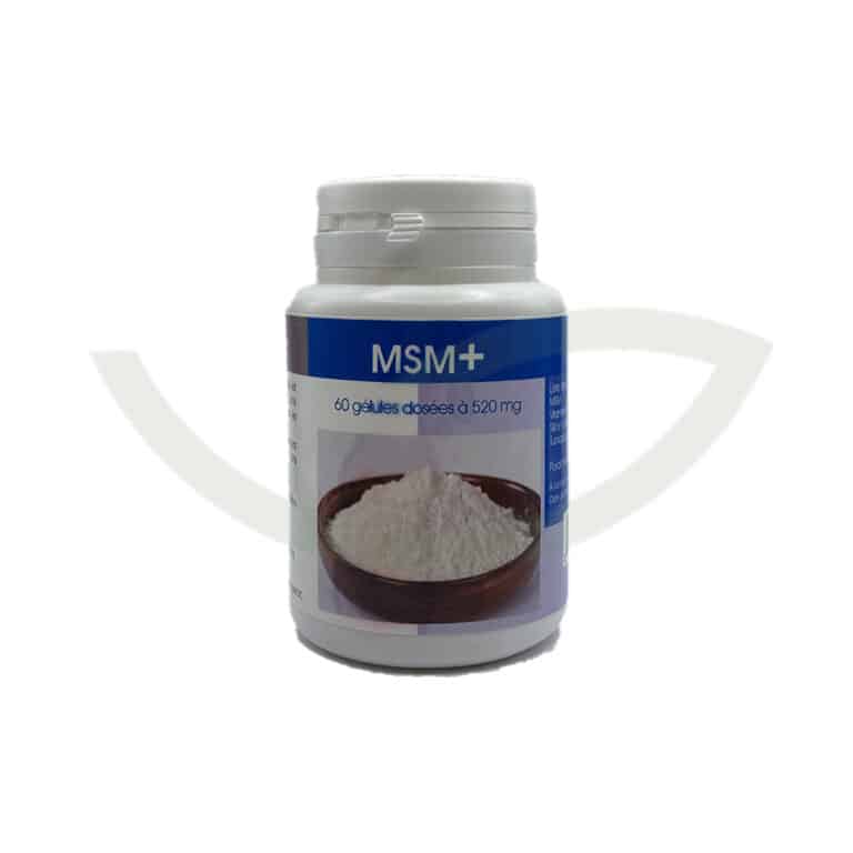 MSM+ 60 gélules 520mg GPH Diffusion Peau saine Maroc MSM+ 60 gélules 520mg GPH Diffusion Peau saine Maroc