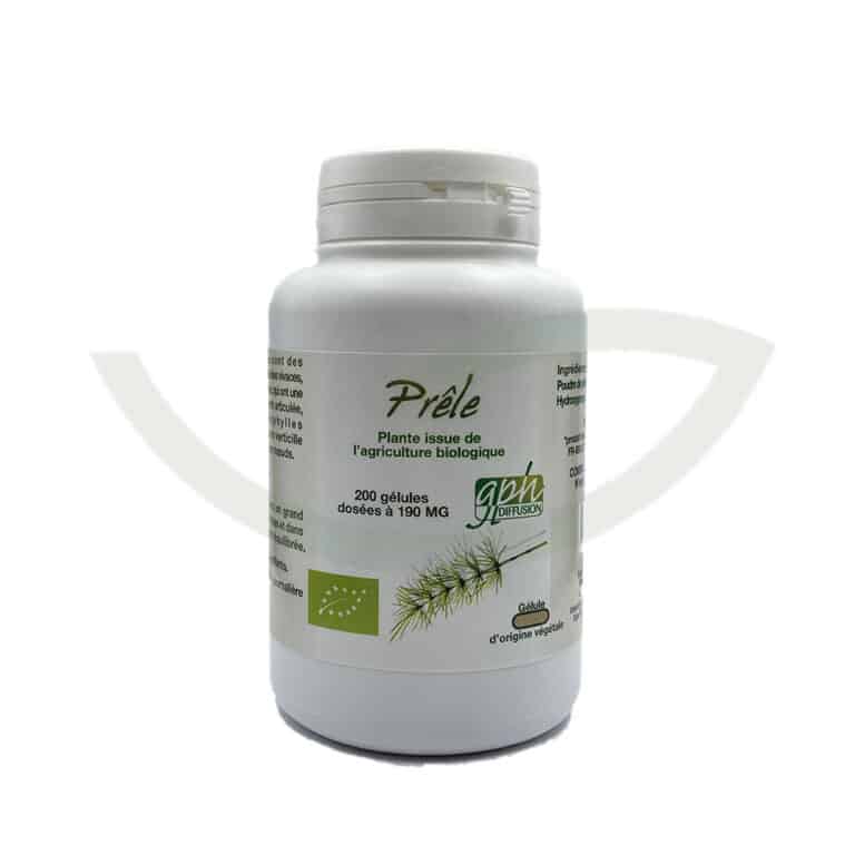 Prêle 200 gélules 190mg GPH souplesse Maroc Avant Prêle 200 gélules 190mg GPH souplesse Maroc Avant