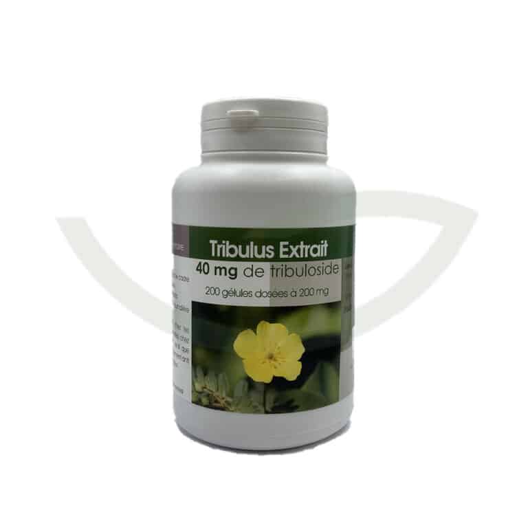 Tribulus 200 gélules 200mg GPH Effet Fortifiant Maroc Avant Tribulus 200 gélules 200mg GPH Effet Fortifiant Maroc Avant