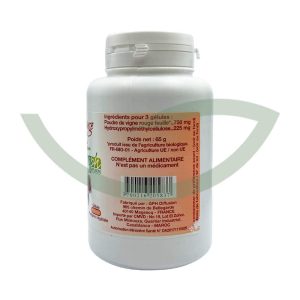 Vigne rouge 200 gélules 250mg GPH antioxydant naturel Maroc Vigne rouge 200 gélules 250mg GPH antioxydant naturel Maroc