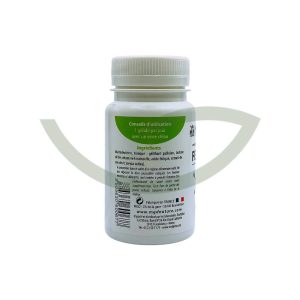 Fer et B9 60 gélules MGD Réduir la fatigue Maroc