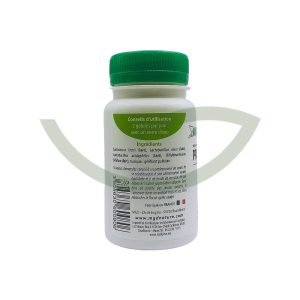 Probioflore 60 gélules MGD Faciliter la digestion Maroc Probioflore 60 gélules MGD Faciliter la digestion Maroc