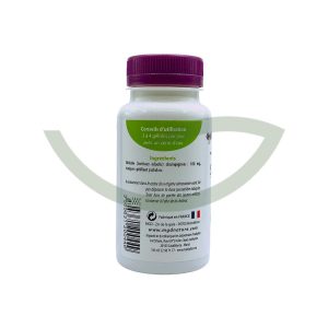 Shiitaké 120 gélules MGD Contribuer au fonctionnement normal du système immunitaire Maroc