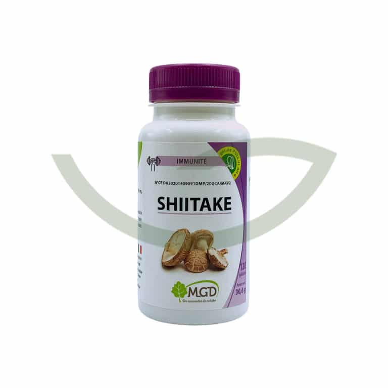 Shiitaké 120 gélules MGD Contribuer au fonctionnement normal du système immunitaire Maroc