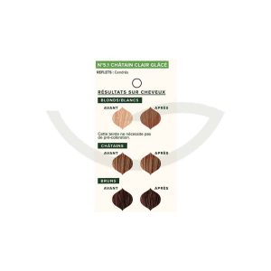 Coloration végétale châtain 100g Emblica Renforce les cheveux Maroc
