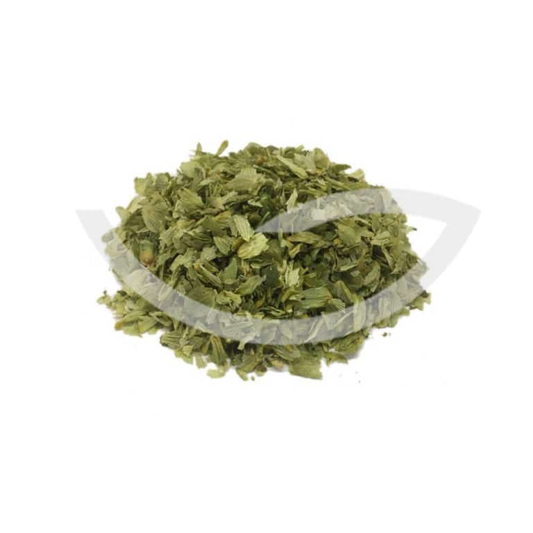 Plante Médicinale houblon Humulus Lupulus Cône entier - 100g herboristerie principale Maroc Plante Médicinale houblon Humulus Lupulus Cône entier - 100g herboristerie principale Maroc