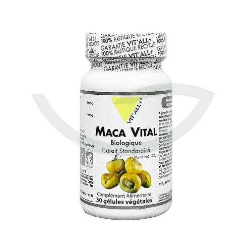 Maca Vital 30 gélules 500mg Vit'All+ immunité Maroc