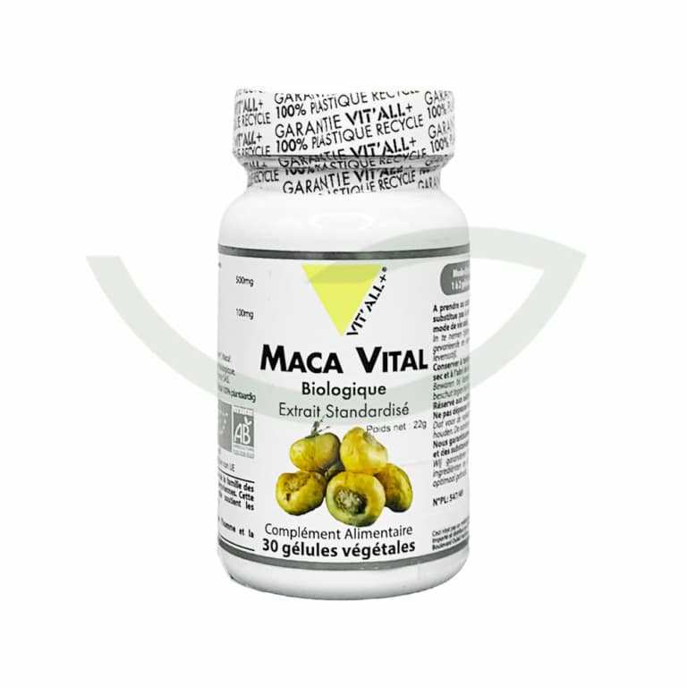 Maca Vital 30 gélules 500mg Vit'All+ immunité Maroc Maca Vital 30 gélules 500mg Vit'All+ immunité Maroc