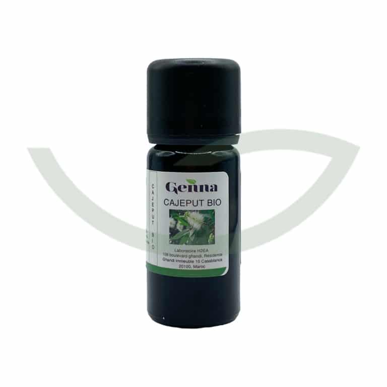 Huile Essentielle Cajeput Bio 10ml Genna Purifiante Maroc
