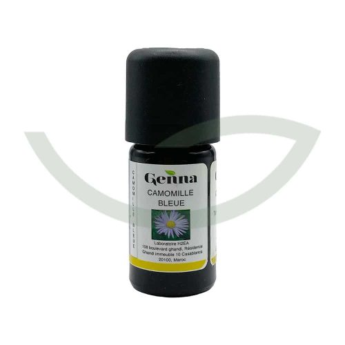 Huile Essentielle Camomille Bleue 5ml Genna Cicatrisant Maroc Huile Essentielle Camomille Bleue 5ml Genna Cicatrisant Maroc