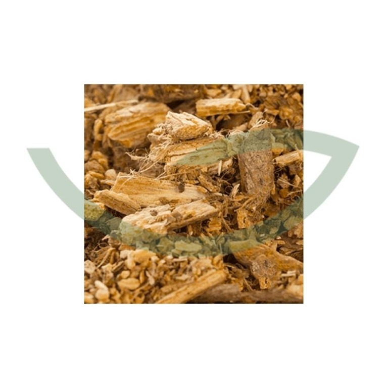 Plante Médicinale Condurango Marsdenia Condurango Écorce 100g en vrac Maroc Plante Médicinale Condurango Marsdenia Condurango Écorce 100g en vrac Maroc