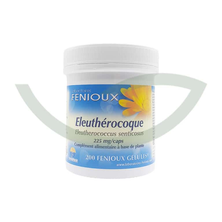 Eleuthérocoque 200 gélules Laboratoires Fenioux immunité Maroc avant Eleuthérocoque 200 gélules Laboratoires Fenioux immunité Maroc avant