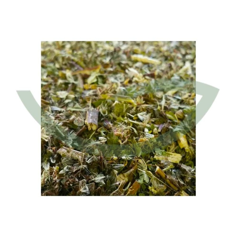 Plante Médicinale Eupatoire partie aerienne coupee 100g tisane d eupatorium cannabinum