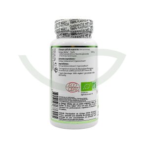 Ginkgo Biloba 60 gélules 500mg Vit'All+ circulation Maroc Ginkgo Biloba 60 gélules 500mg Vit'All+ circulation Maroc