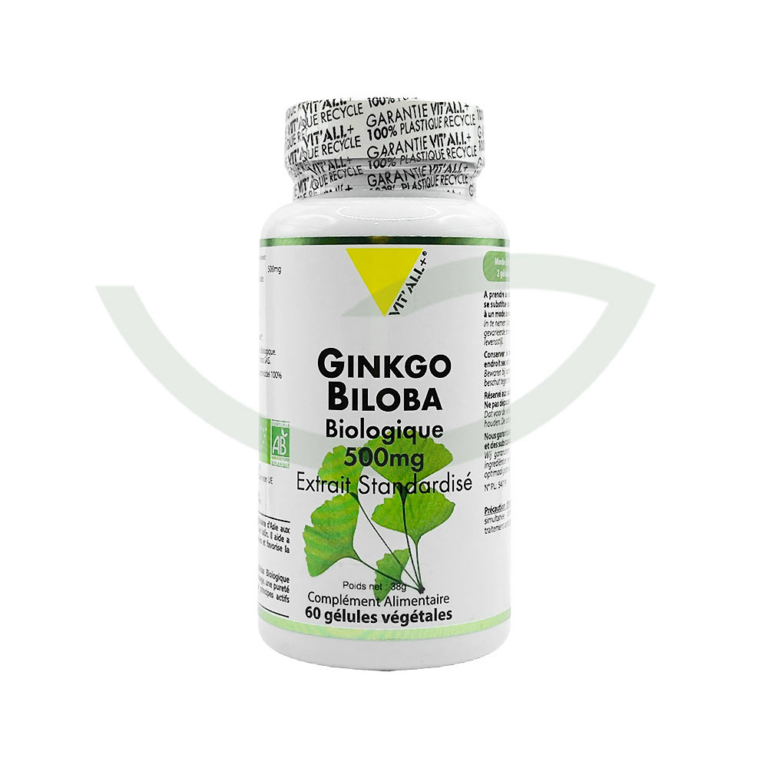 Ginkgo Biloba 60 gélules 500mg Vit'All+ circulation Maroc Ginkgo Biloba 60 gélules 500mg Vit'All+ circulation Maroc