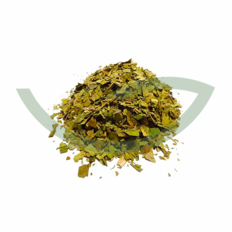 Plante Médicinale gymnema sylvestris feuille coupee 100g Maroc Plante Médicinale gymnema sylvestris feuille coupee 100g Maroc