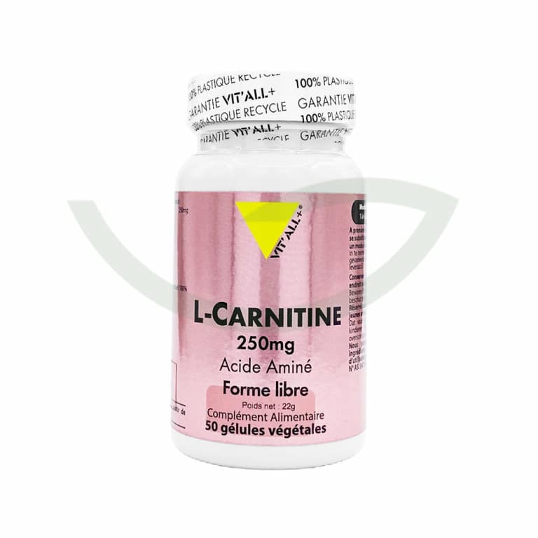 L-carnitine 50 gélules 250mg Vit'All+ Acide aminé Maroc L-carnitine 50 gélules 250mg Vit'All+ Acide aminé Maroc