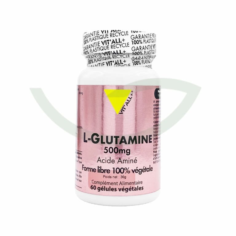 L-glutamine 60 gélules Vitall Complément alimentaire Maroc L-glutamine 60 gélules Vitall Complément alimentaire Maroc