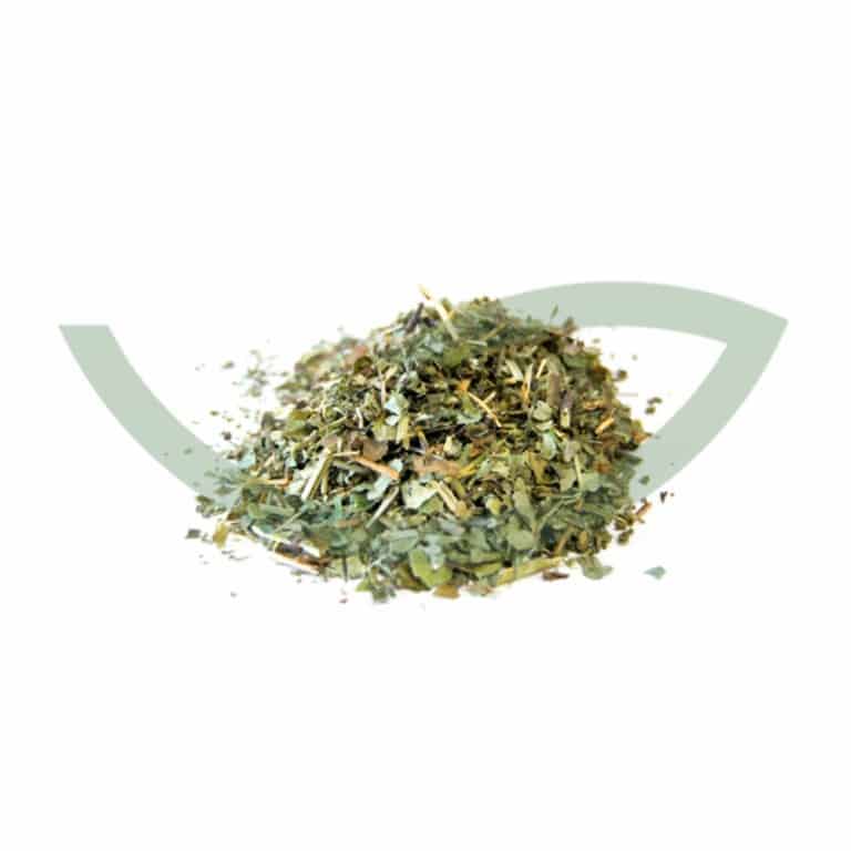 Plante Médicinale lierre terrestre Hederacea partie aerienne 100g Maroc Plante Médicinale lierre terrestre Hederacea partie aerienne 100g Maroc