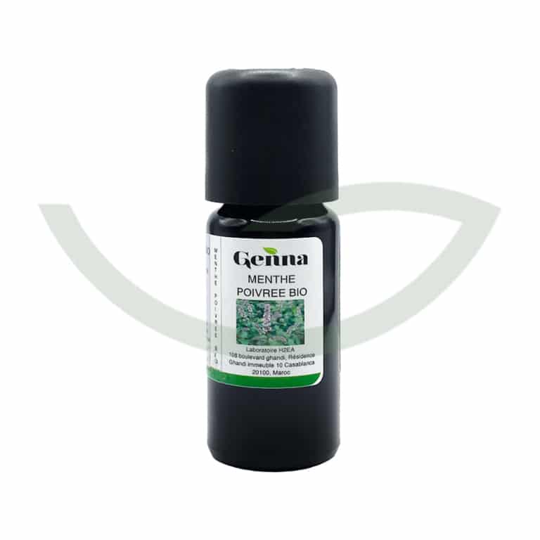 Huile Essentielle Menthe Poivrée Bio Genna 10ml Relaxant Maroc Huile Essentielle Menthe Poivrée Bio Genna 10ml Relaxant Maroc