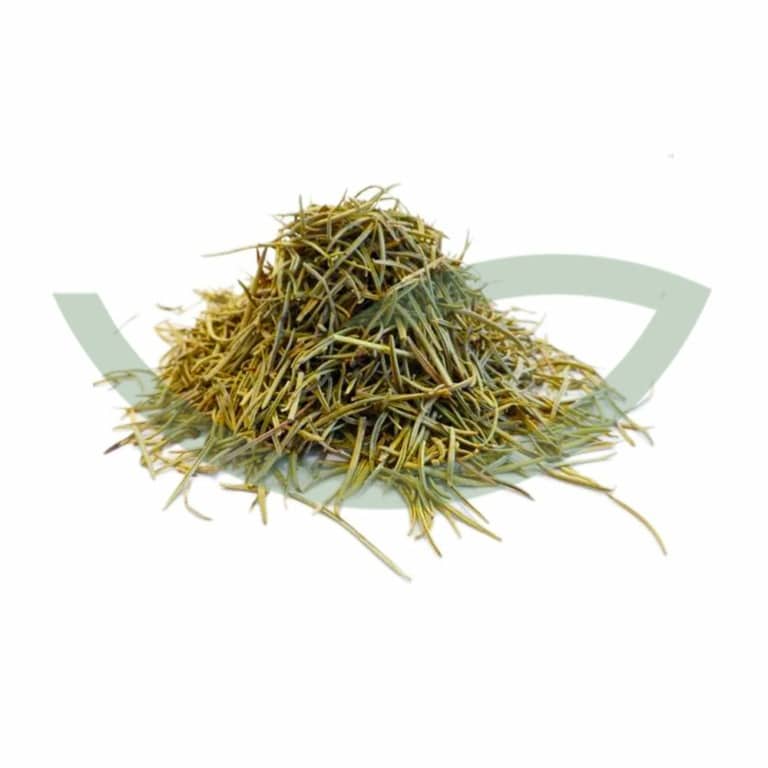 Plante Médicinale Romarin feuille entiere bio 100g herboristerie principale Maroc Plante Médicinale Romarin feuille entiere bio 100g herboristerie principale Maroc