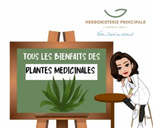 Tous les bienfaits des plantes médicinales journal