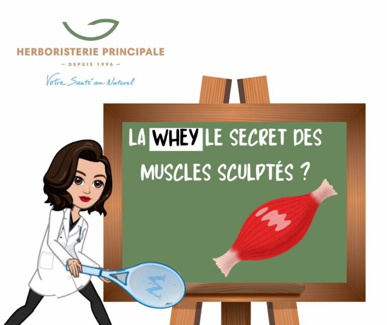 Caricatures Blog Herboristerie 5 1 La whey secret ultime pour des muscles sculptés journal herbo