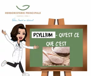 tout savoir sur le psyllium journal herbo