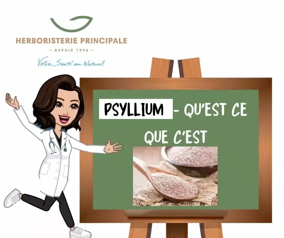 LES 7 BIENFAITS SURPRENANTS DU PSYLLIUM DÉVOILÉS !