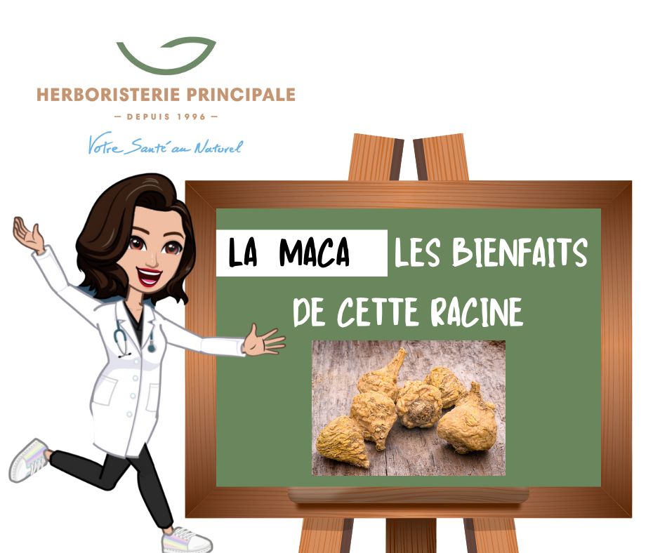 LA MACA : LES 8 TRÉSORS CACHÉS DE VITALITÉ ET DE SANTÉ