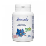 Bourrache Bio 100 capsules 503mg GPH