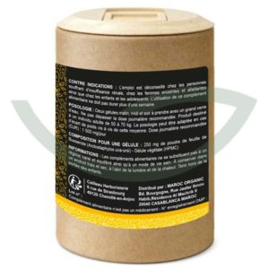 Busserole Feuille 100 gélules 250mg Cailleau Confort Urinaire Maroc Arrière Busserole Feuille 100 gélules 250mg Cailleau Confort Urinaire Maroc Arrière