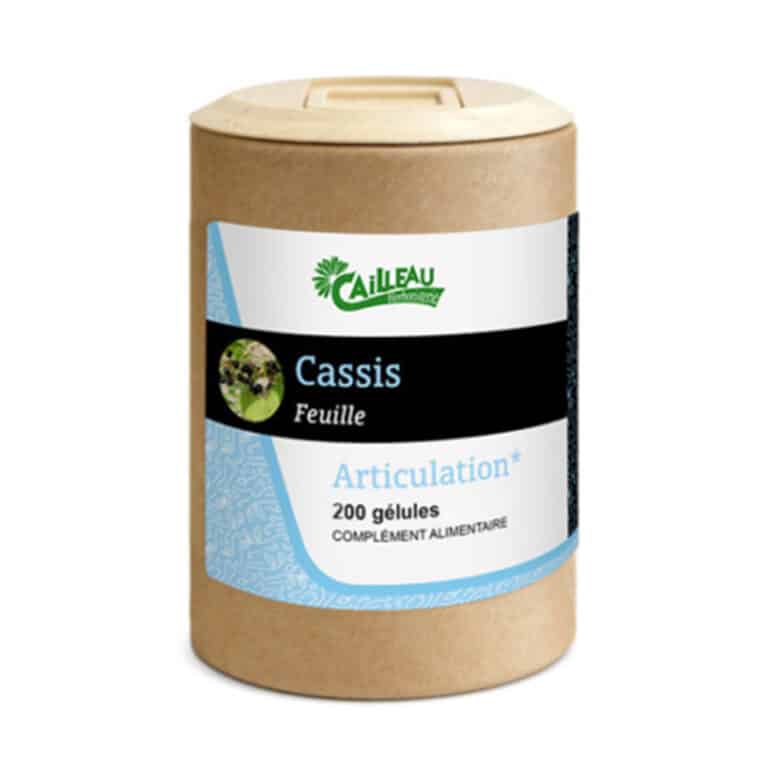 Cassis feuille 100 Gélules 250mg Cailleau Meilleure Circulation Sanguine Maroc Cassis feuille 100 Gélules 250mg Cailleau Meilleure Circulation Sanguine Maroc