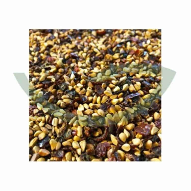 Plante Médicinale Cynorrhodon bio baie avec graine concassee 100g tisane de rosa canina Maroc Plante Médicinale Cynorrhodon bio baie avec graine concassee 100g tisane de rosa canina Maroc