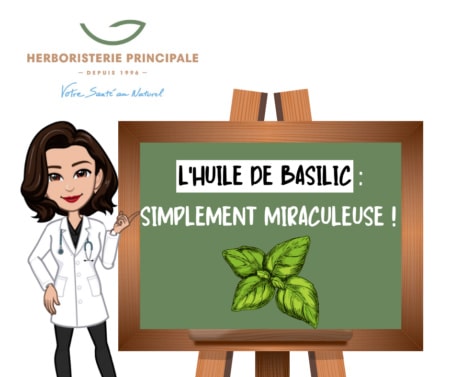 huile de basilic blog herboristerie principale Maroc L'huile de basilic