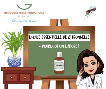 huile essentielle de citronnelle blog herboristerie principale Maroc L'huile essentielle de citronnelle