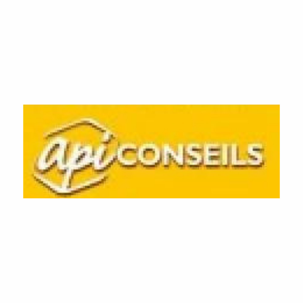 Logo api conseils