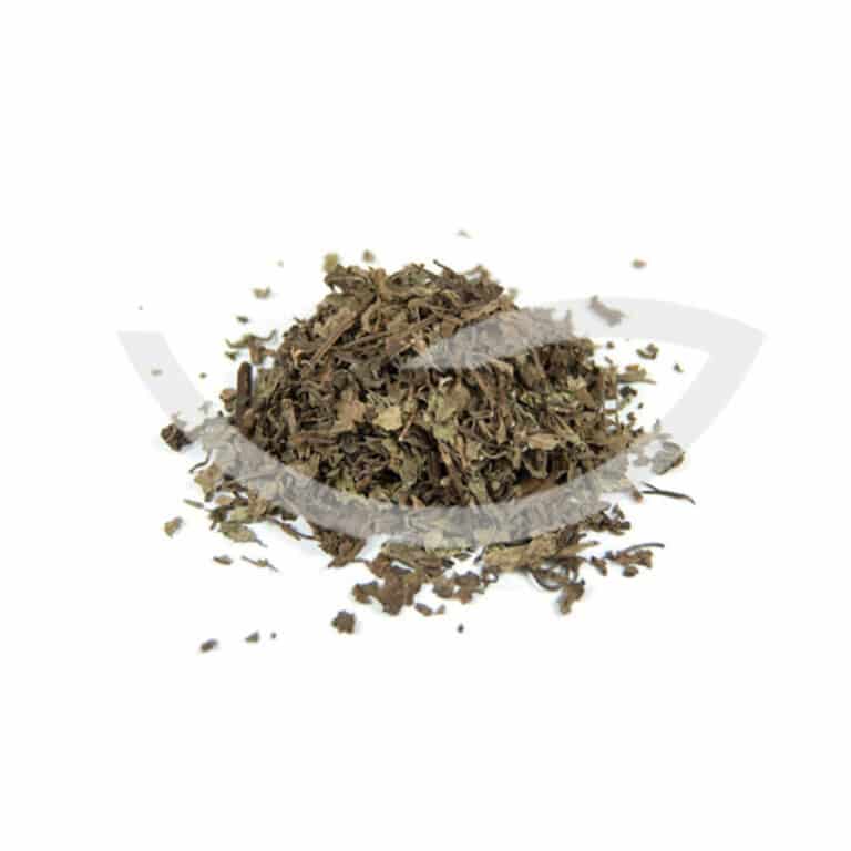 Plante Médicinale Orthosiphon Orthosiphon Stamineus Feuille coupée 100g perte de poids Maroc Plante Médicinale Orthosiphon Orthosiphon Stamineus Feuille coupée 100g perte de poids Maroc