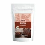 Reishi en poudre 100g Dragon Superfoods