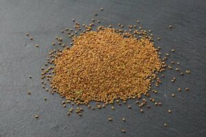 ALFALFA LUZERNE graine BIO.jpg alfalfa-luzerne-graine-bio