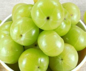 Amla-plante-médicinale