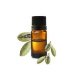 Huile essentielle : Cardamome