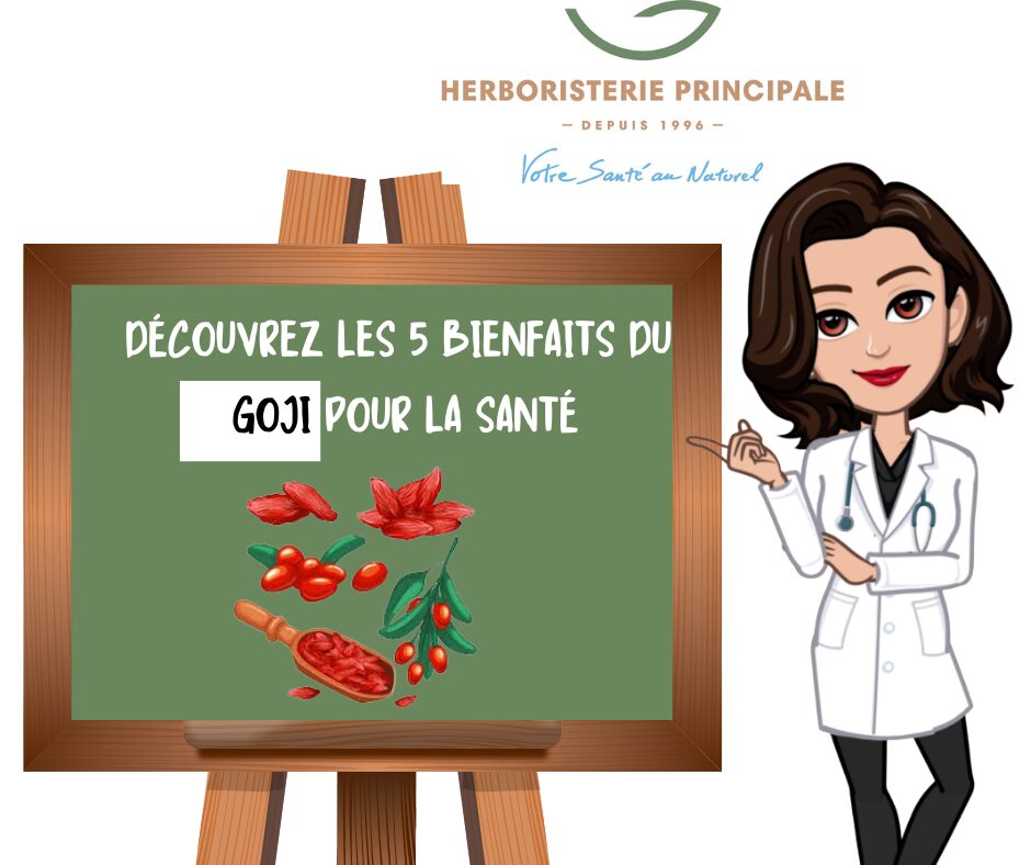 DÉCOUVREZ LES 5 BIENFAITS DU GOJI POUR LA SANTÉ