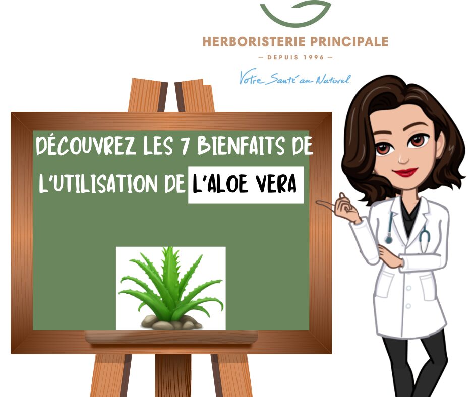 DÉCOUVREZ LES 7 BIENFAITS DE L’UTILISATION DE L’ALOE VERA