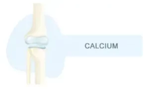 Le calcium et sa salté des Os-Maroc