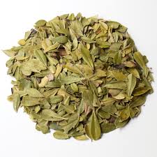 Feuille de la busserole ( Uva Ursi )